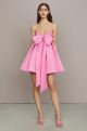 AMUR ROSE BABY DOLL DRESS