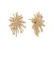 GS FIREWORK EARRING