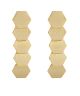 GS LINEAR BRUSHED HEXAGON EARRINGS